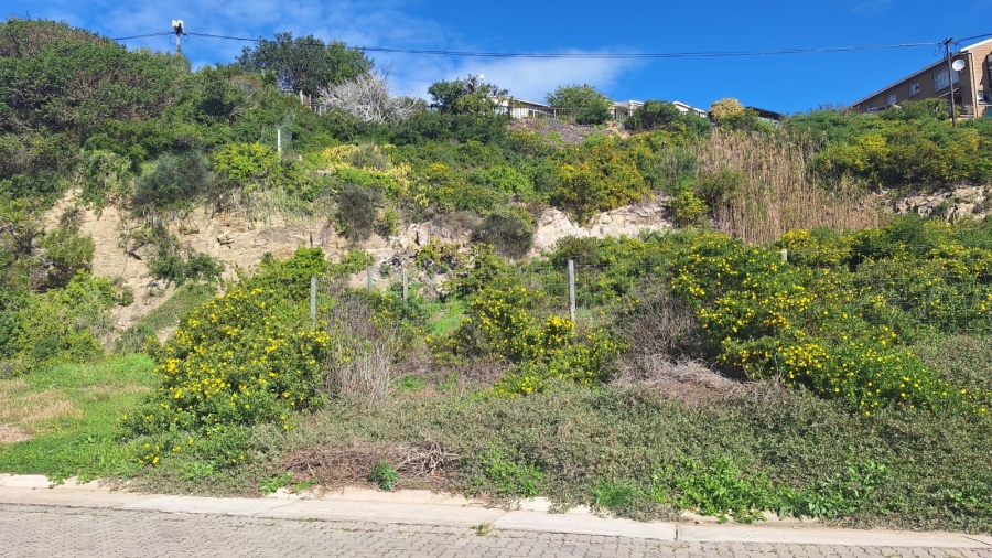 0 Bedroom Property for Sale in Stilbaai Wes Western Cape